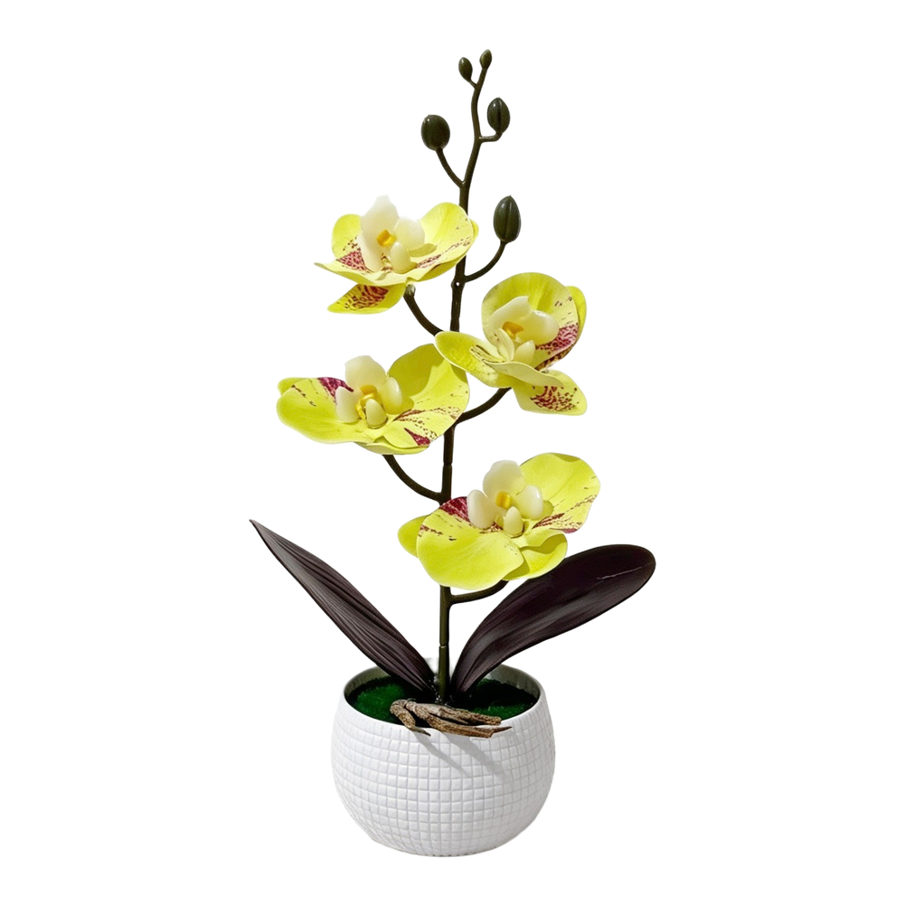 Lifelike Artificial Phalaenops - Home Office Depot recension och pris