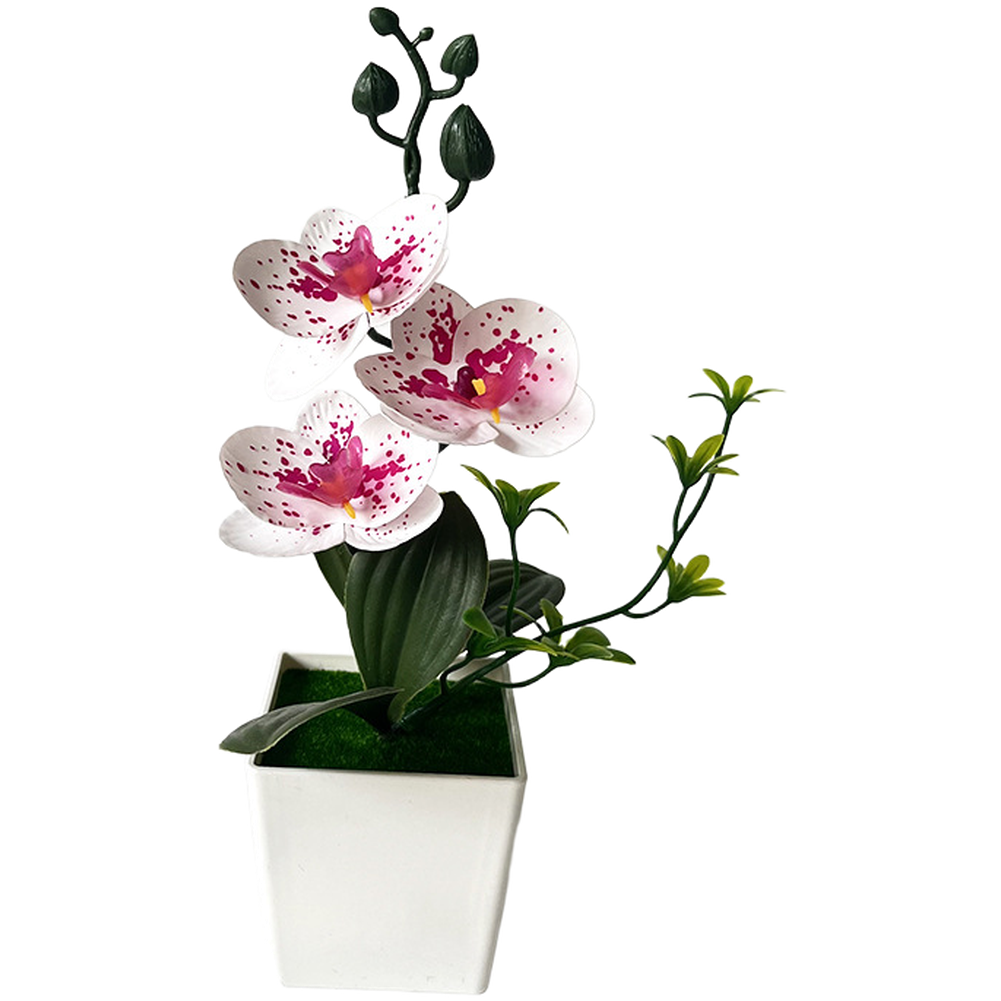 For Mini Artificial Phalaenops - Home Office Depot recension och pris