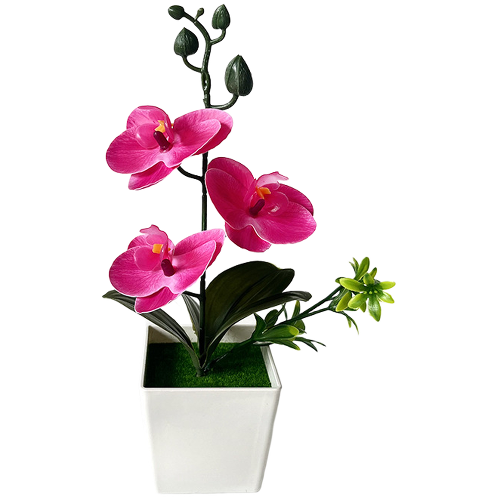 For Mini Artificial Phalaenops - Home Office Depot recension och pris