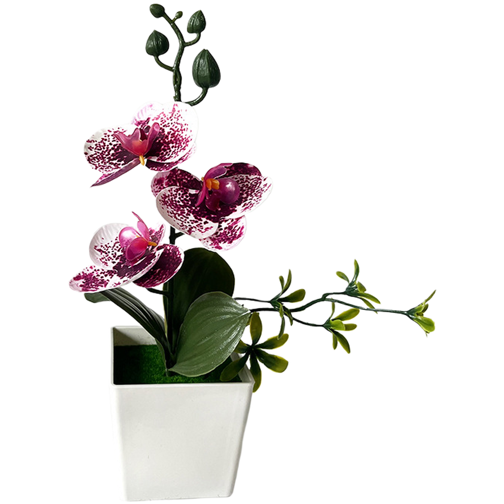 For Mini Artificial Phalaenops - Home Office Depot recension och pris