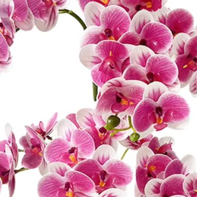 54 Head Faux Phalaenopsis Orch - Home Office Depot recension och pris